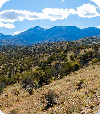 HVAC & Plumbing Services in Vail, AZ